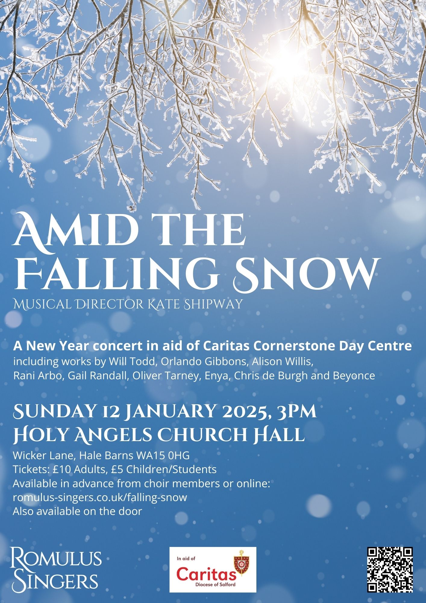 Amid the Falling Snow: Afternoon Concert